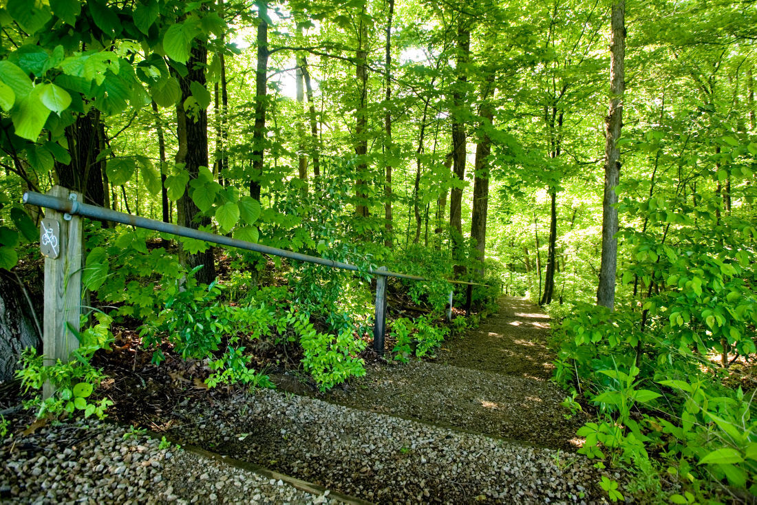 Fox Ridge State Park 05/18/16 (2)
